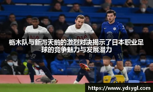 JDB电子官网