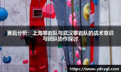 赛后分析：上海攀岩队与武汉攀岩队的战术意识与团队协作探讨